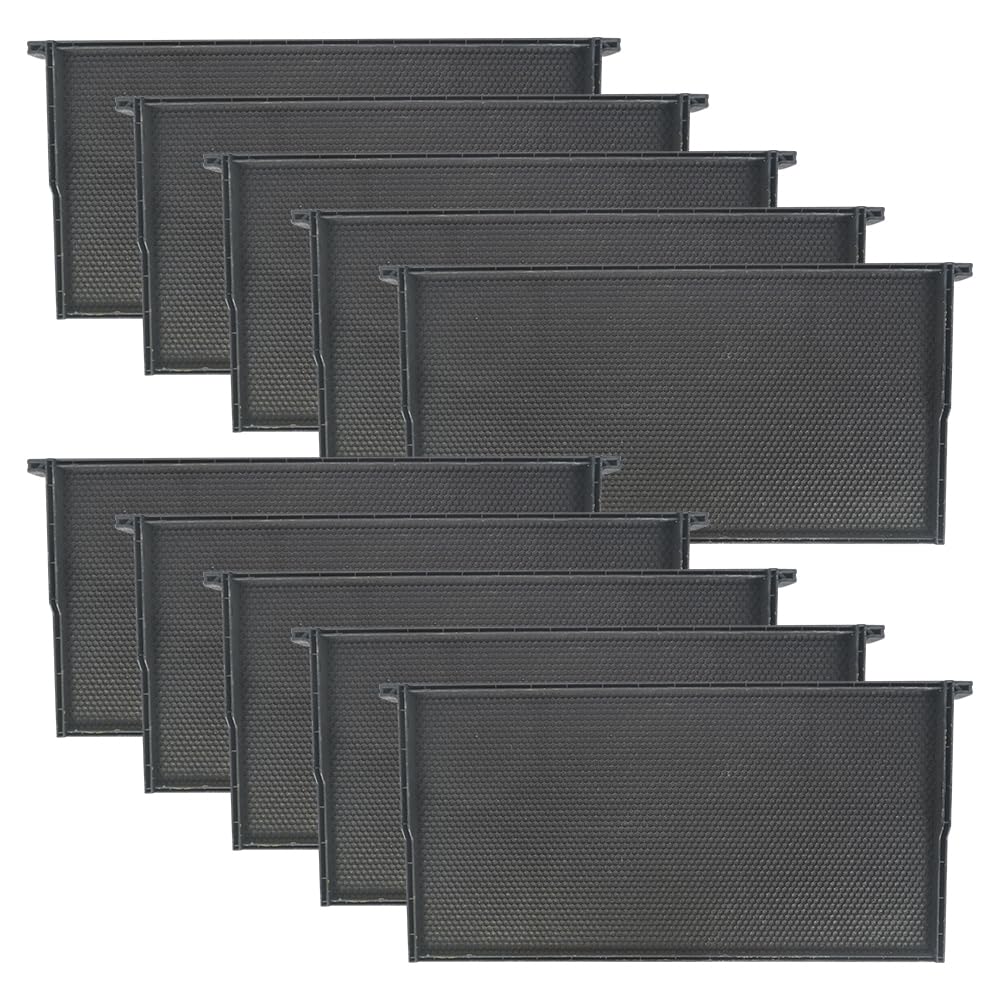 witbee front packaging showing ten ready-to-use frames and quick setup benefit