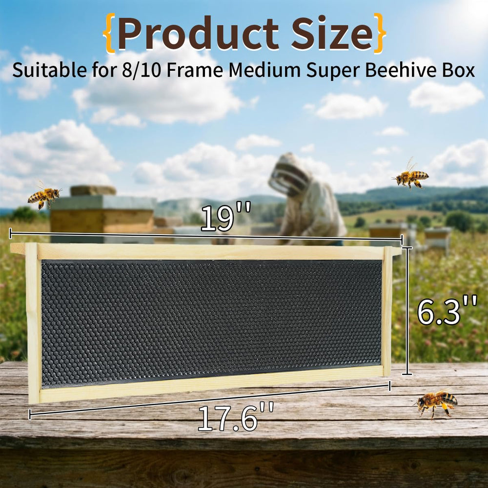 witbee foundation edge with visible beeswax coating for better bee acceptance