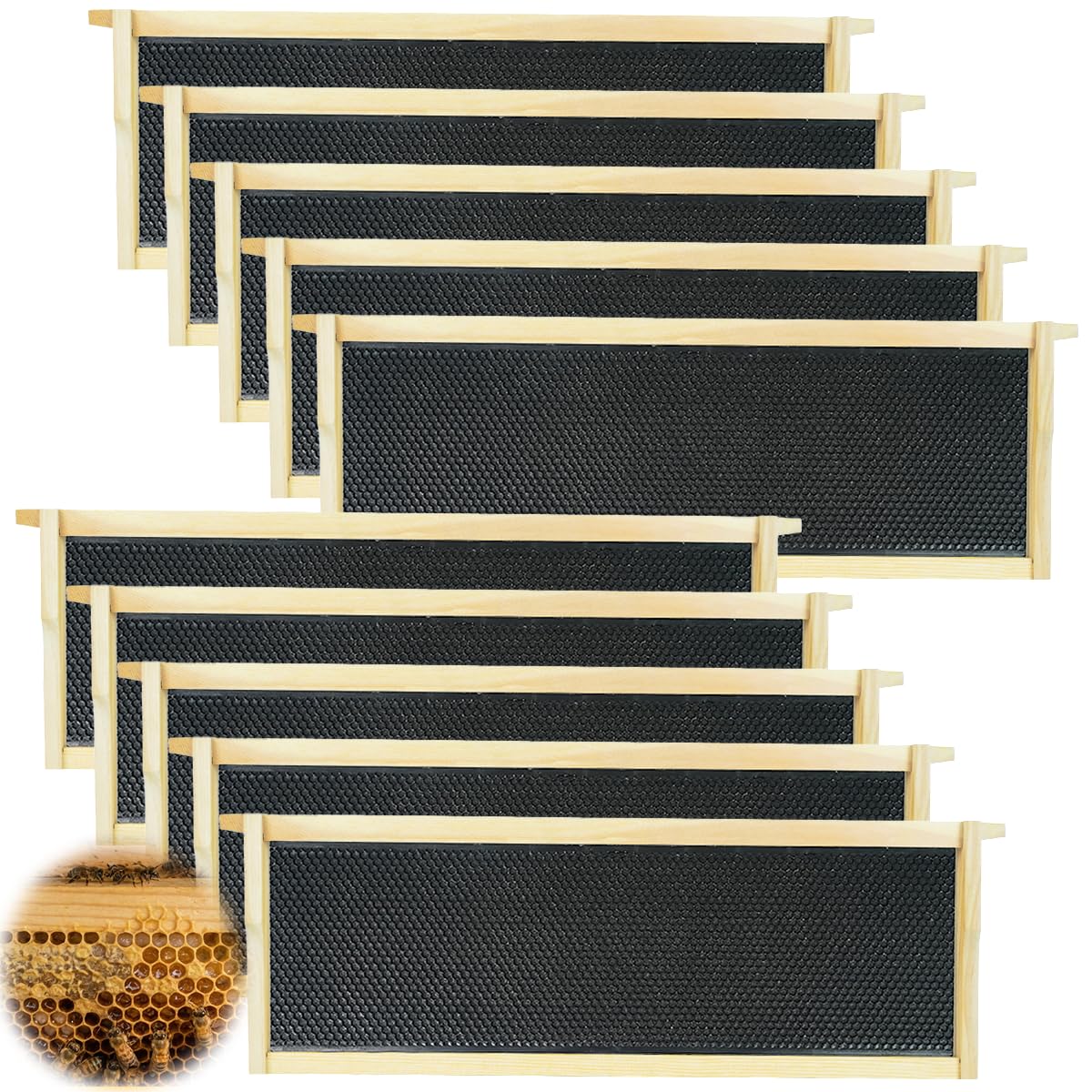 witbee front view of ten unassembled frames showing compact packaging and convenience