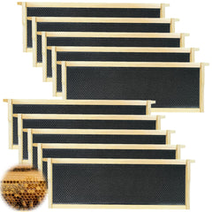 witbee front view of ten unassembled frames showing compact packaging and convenience