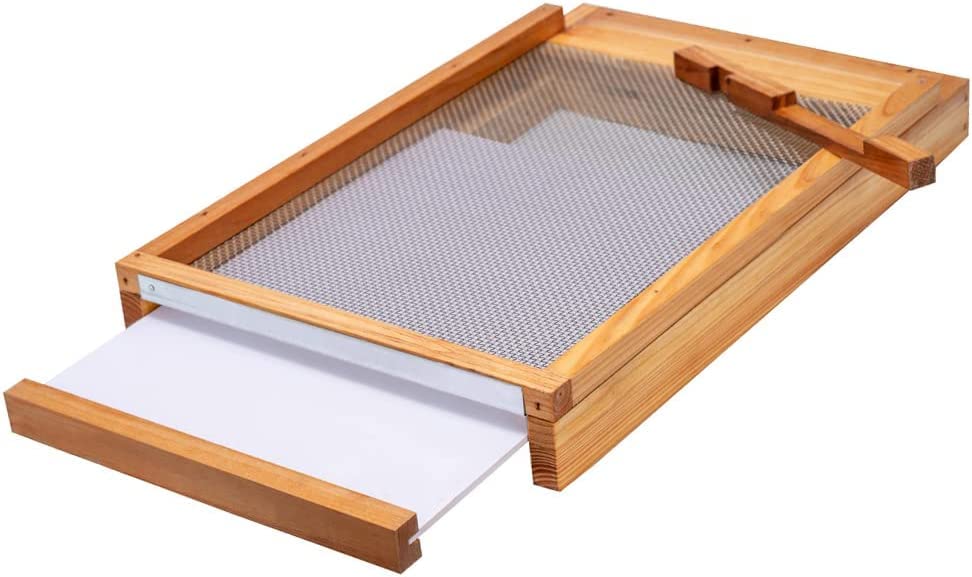 witbee front view showing full screened bottom board and beeswax finish protecting wood