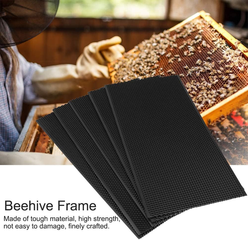 witbee foundation sheet installed in a Langstroth deep frame, simplifies frame preparation