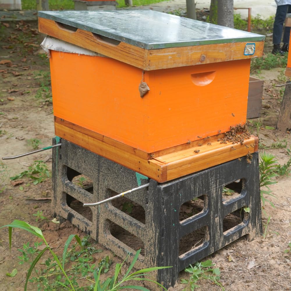 witbee installed under a Langstroth hive demonstrating improved airflow