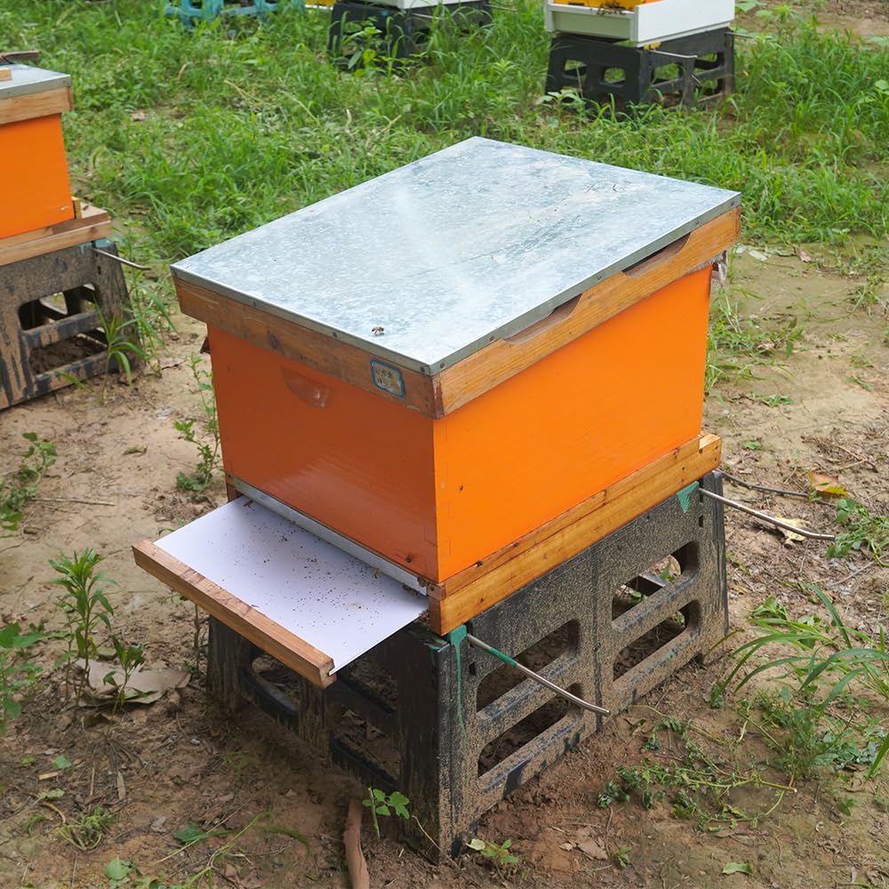 witbee bottom board beside a hive for scale and easy interchangeability