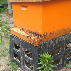 witbee close-up of wood grain and beeswax dip showing durable weather resistance
