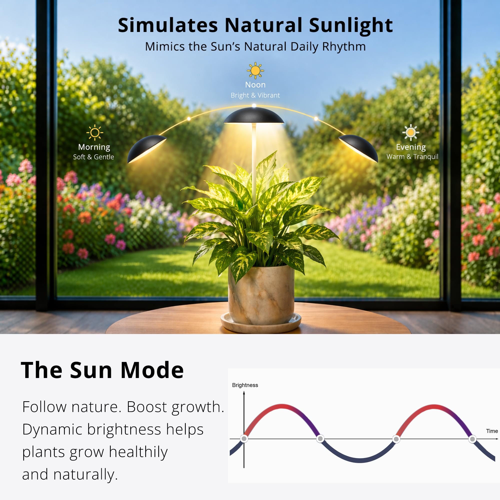 Witsanlex remote shown with lamp displaying timer and dim mode for easy control