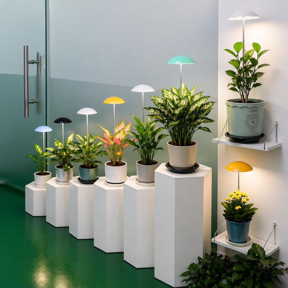 Witsanlex lighting a bedroom plant shelf showing decorative and functional benefits
