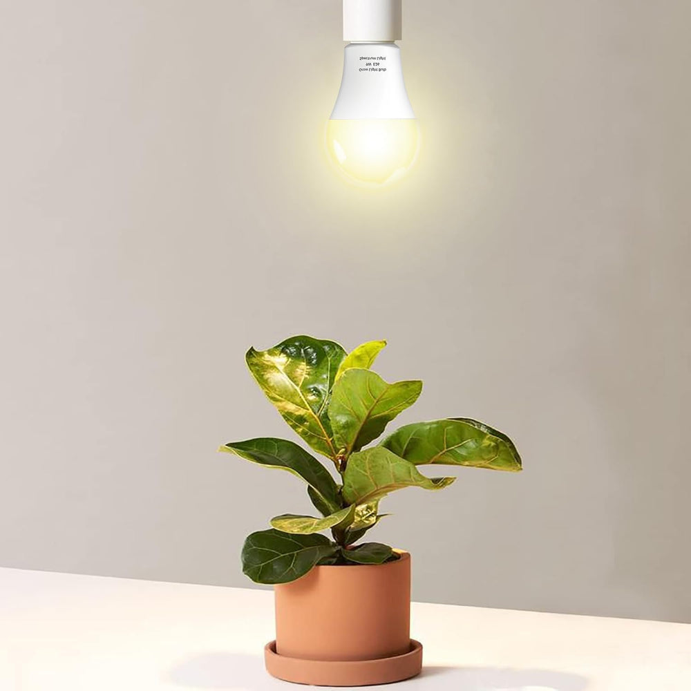 Wiyifada bulb lighting herb tray to boost indoor plant growth