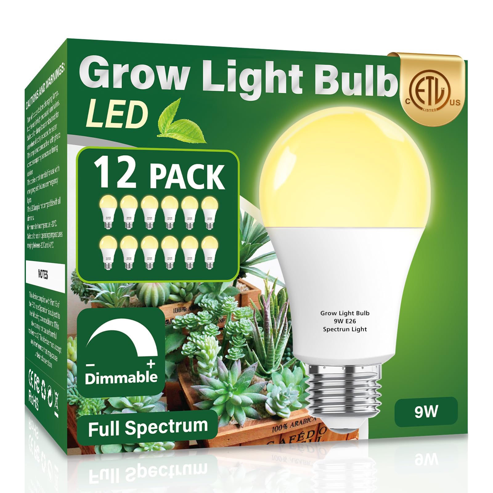 Wiyifada front packaging showing 12 bulbs and full-spectrum benefit