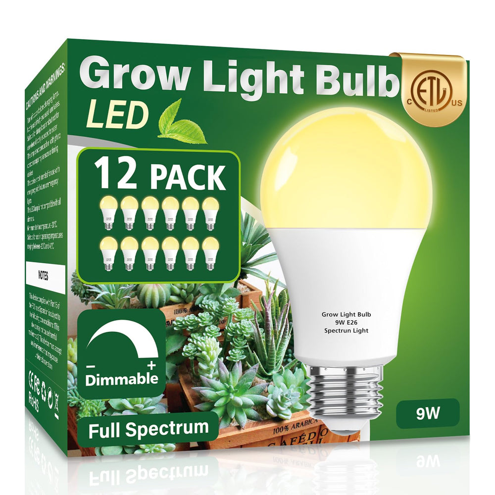 Wiyifada front packaging showing 12 bulbs and full-spectrum benefit