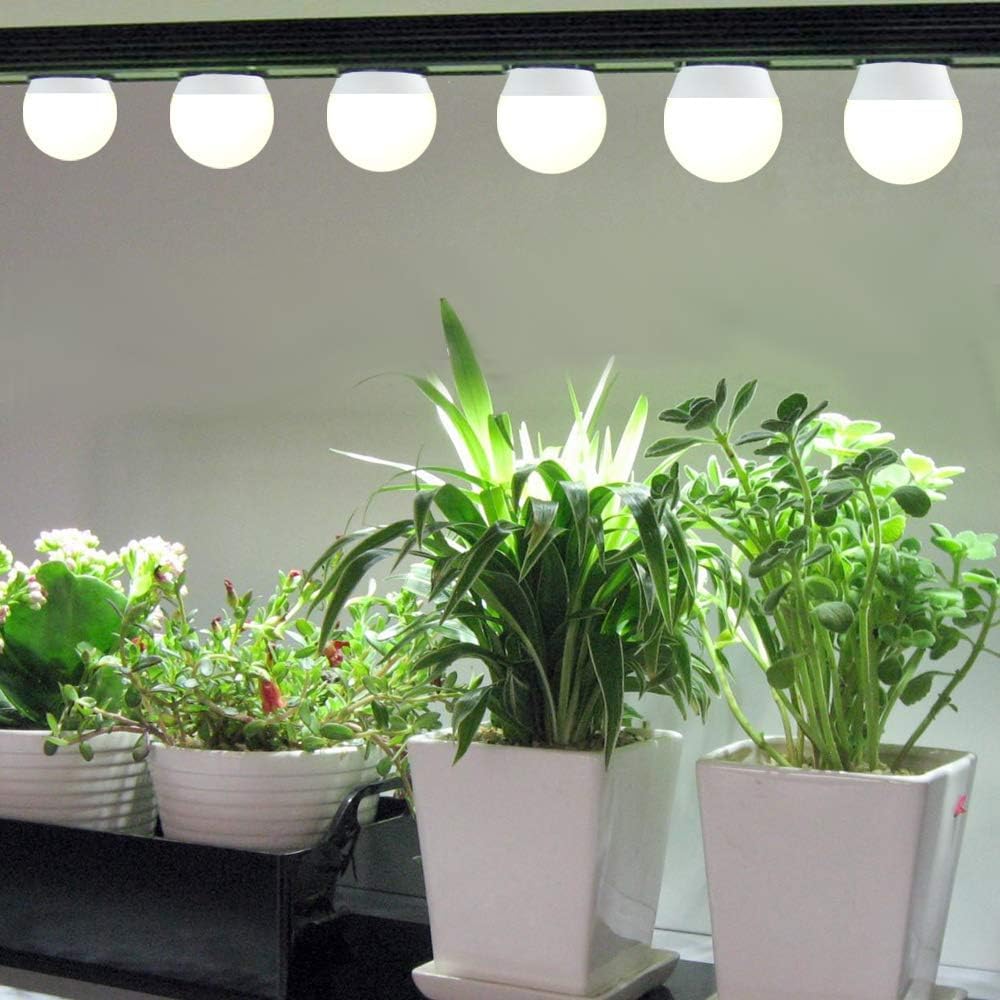 Wiyifada multiple bulbs in greenhouse for even canopy coverage