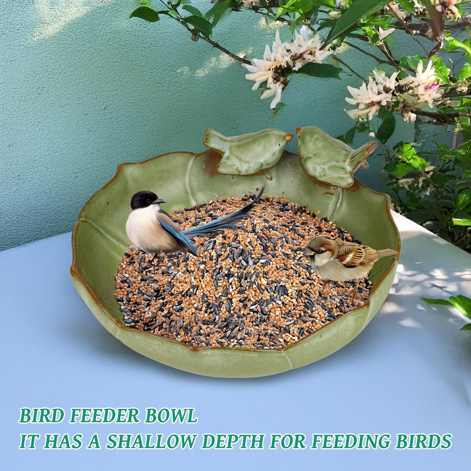 Wkyqes bowl used as bee bath with pebbles supporting pollinators