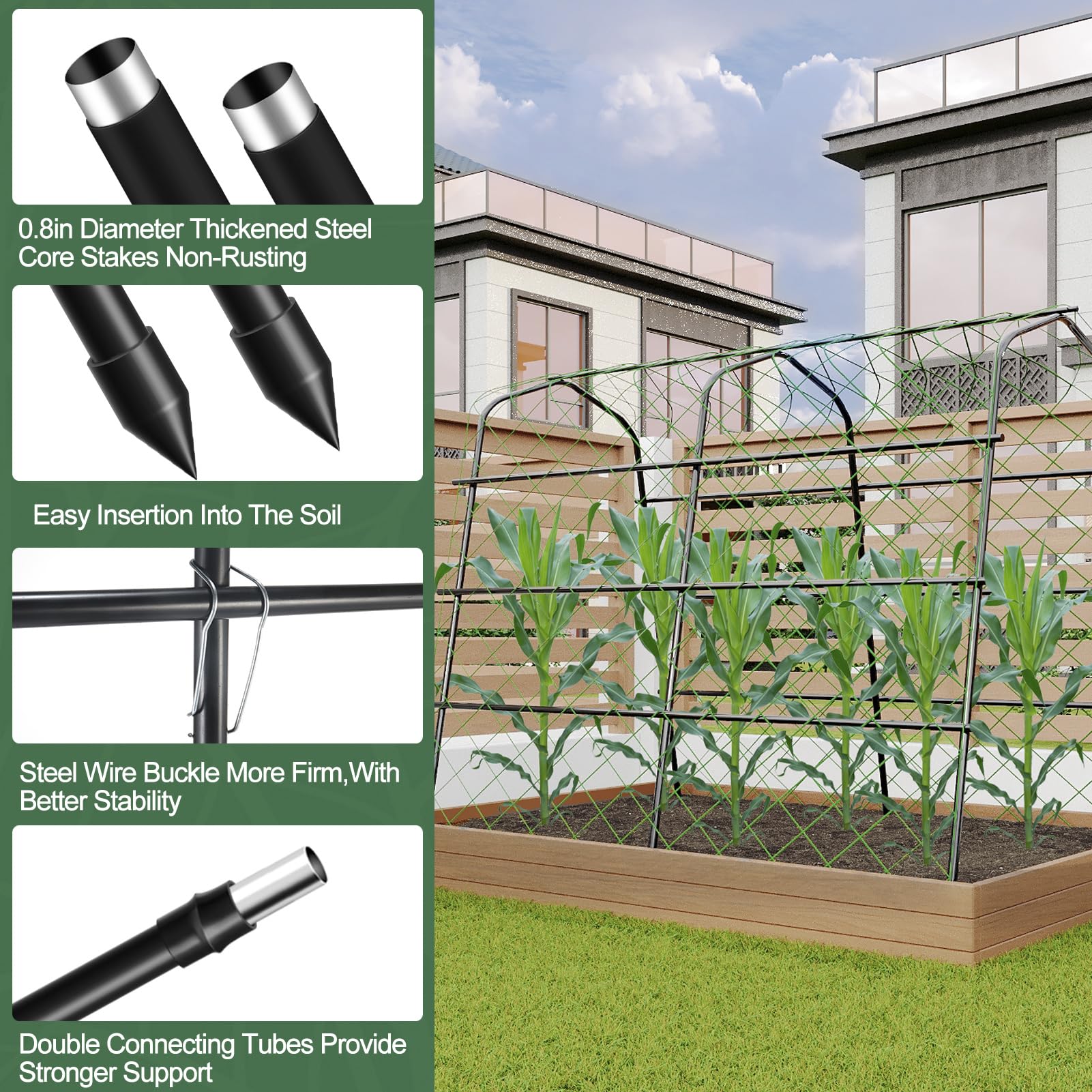 WLLEYAY trellis with climbing cucumbers illustrating higher yield and harvest ease