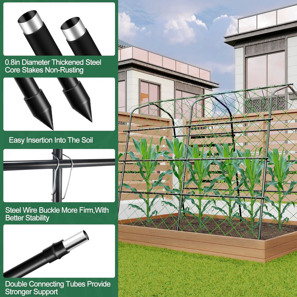 WLLEYAY trellis with climbing cucumbers illustrating higher yield and harvest ease