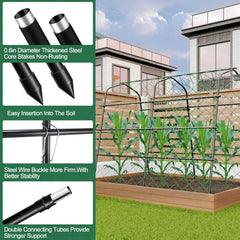 WLLEYAY trellis with climbing cucumbers illustrating higher yield and harvest ease