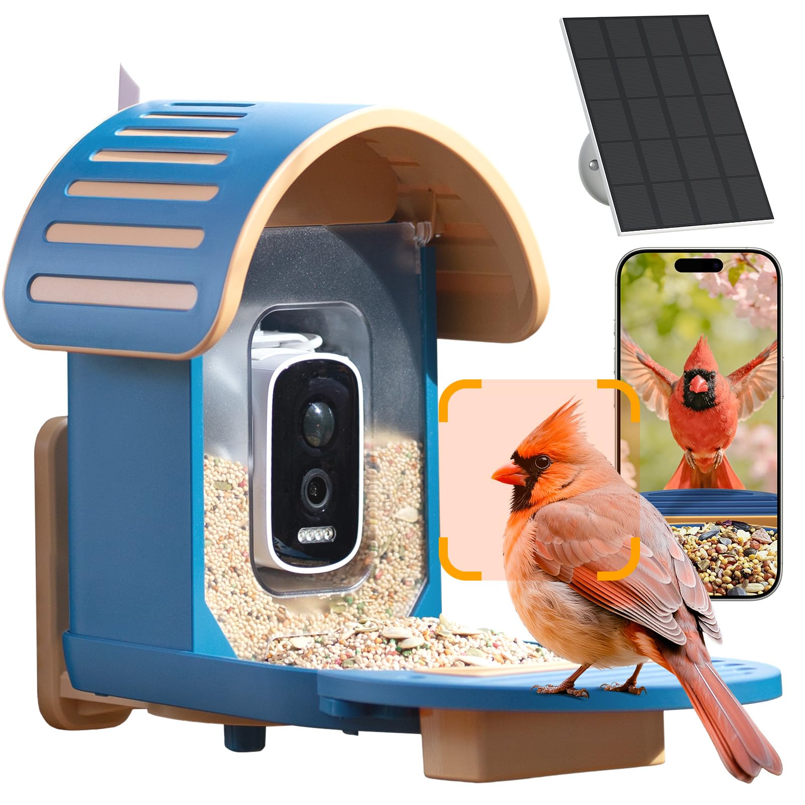 WLNYUGS front view showing blue feeder and camera, clear monitoring benefit