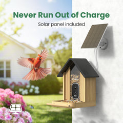 WLNYUGS solar panel top view providing continuous outdoor power