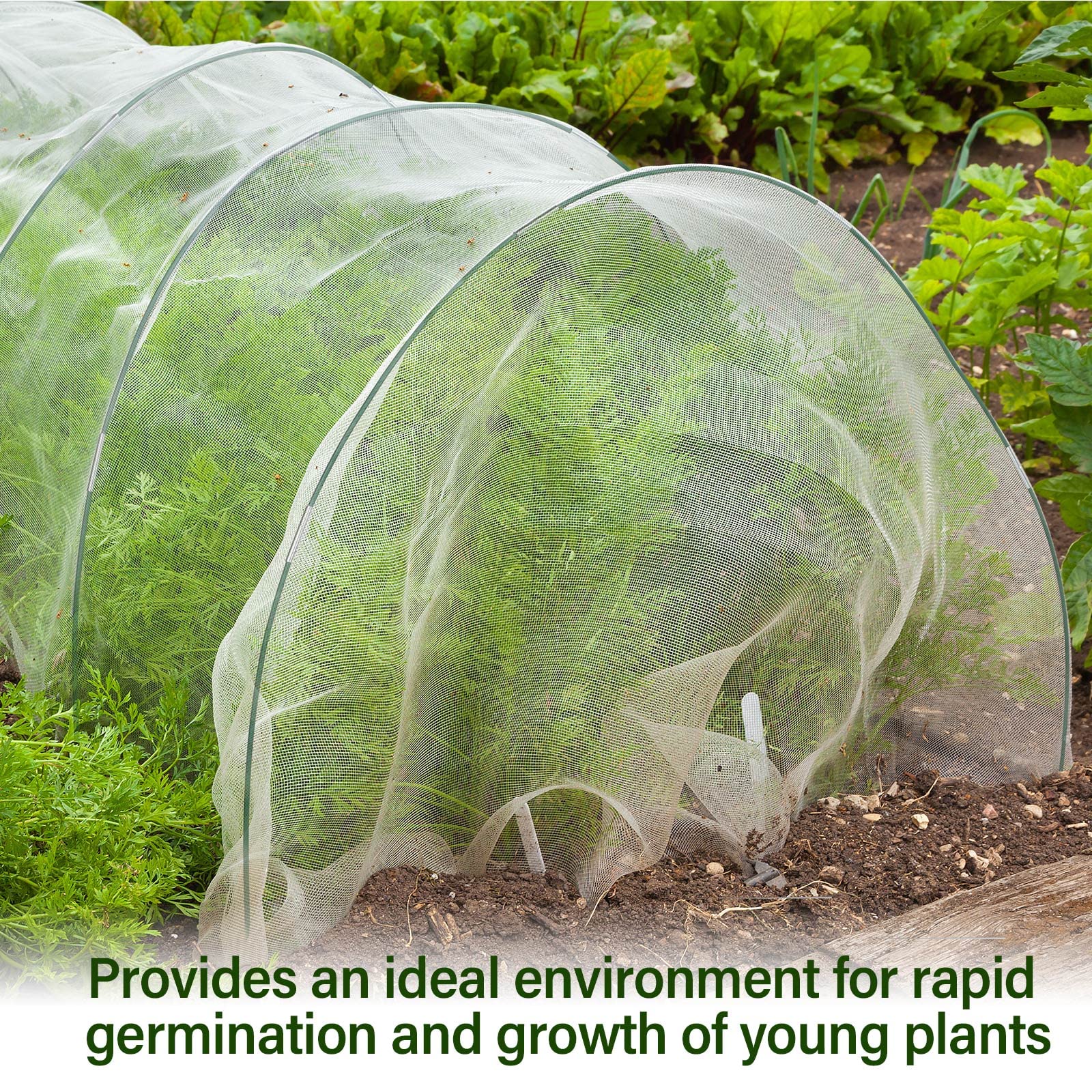 Woanger garden scene with covers protecting vegetables and reducing pest damage