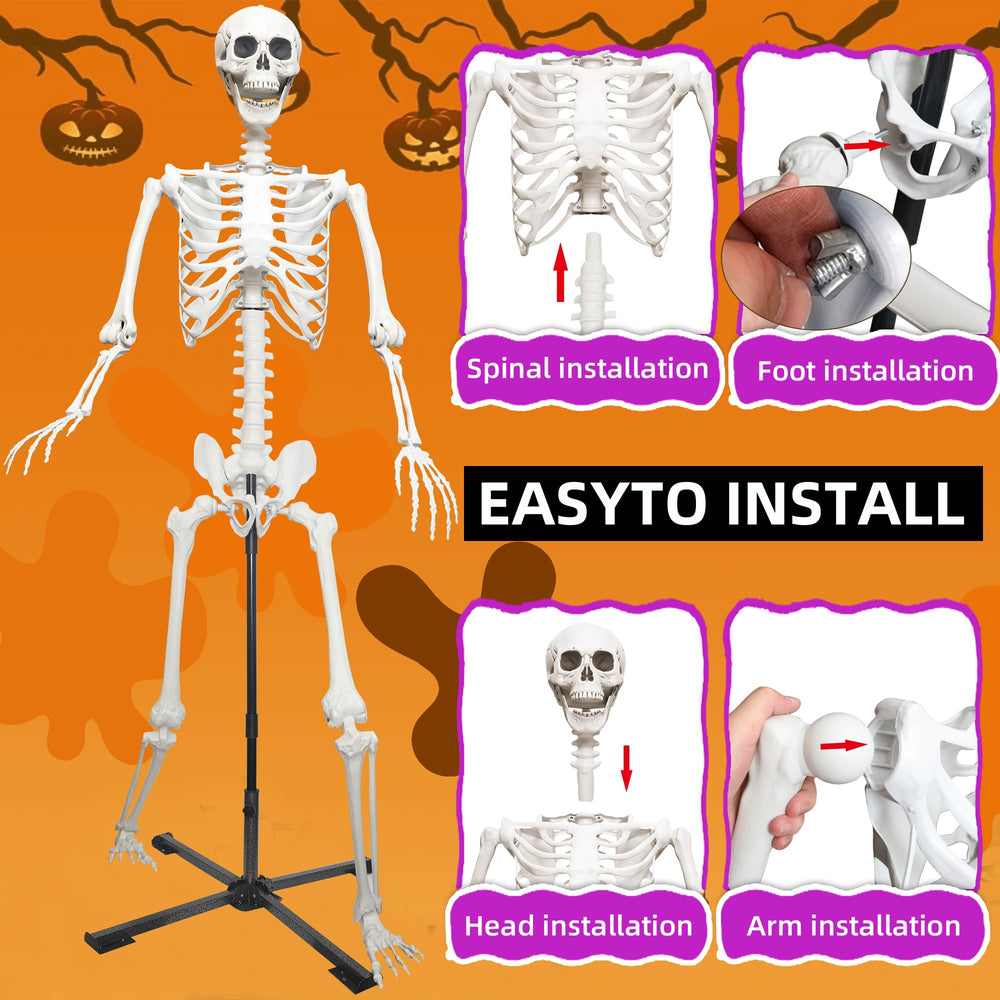 Wocst folded skeleton compact for storage illustrating easy transport and space saving