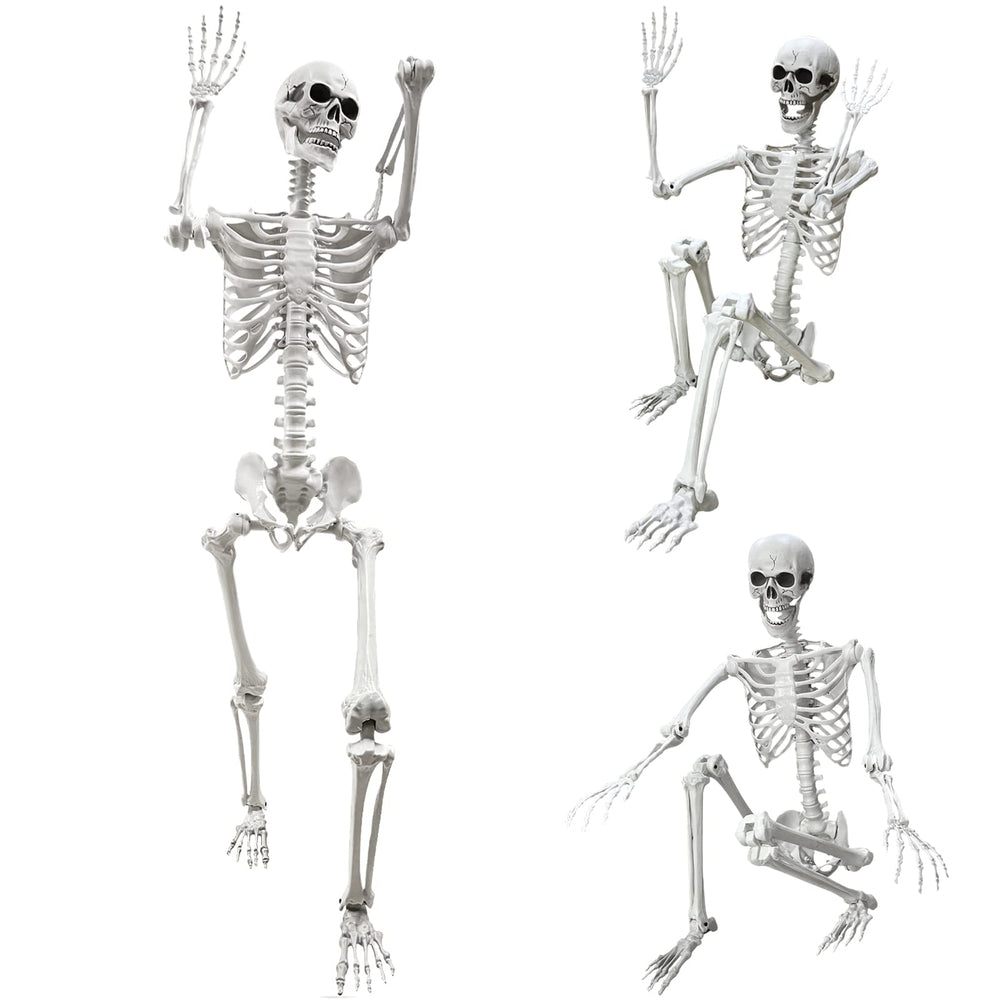 Wocst front packaging view showing complete skeleton and easy assembly benefit