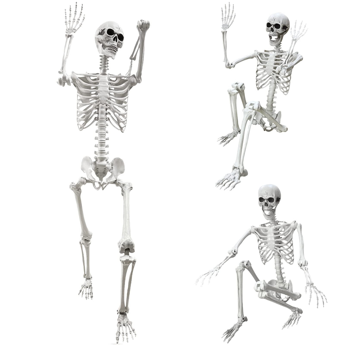 Wocst front packaging view showing complete skeleton and easy assembly benefit