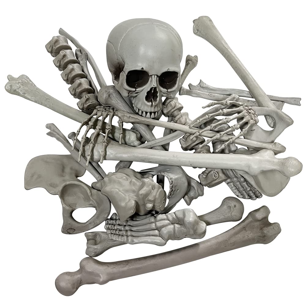 Wocst front view of 28-piece skeleton set showing included skull and bones for realistic decor