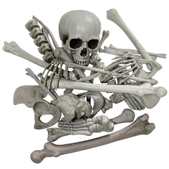 Wocst front view of 28-piece skeleton set showing included skull and bones for realistic decor