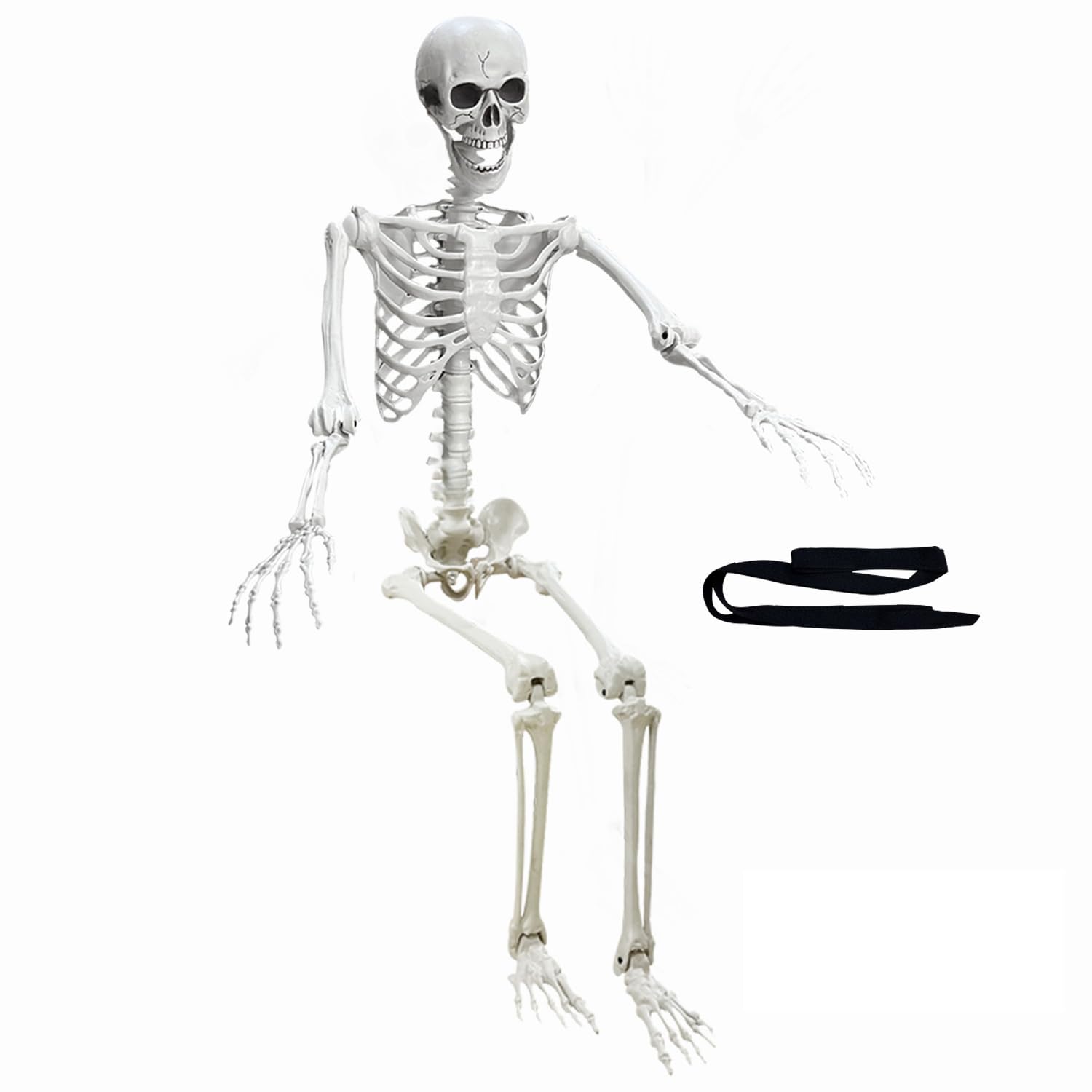 Wocst front view full body skeleton showing realistic proportions and poseability