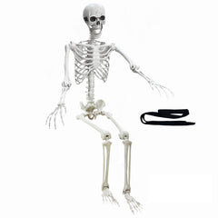 Wocst front view full body skeleton showing realistic proportions and poseability