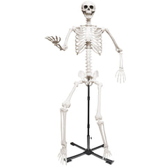Wocst front view of 7.9ft skeleton on stand showing full height and realistic silhouette