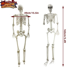 Wocst full body front view demonstrating life-size 5.4ft realistic scale