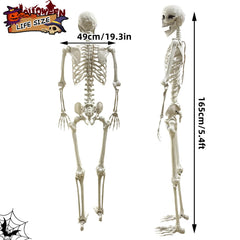 Wocst skeleton posed in a doorway creating an immediate spooky welcome