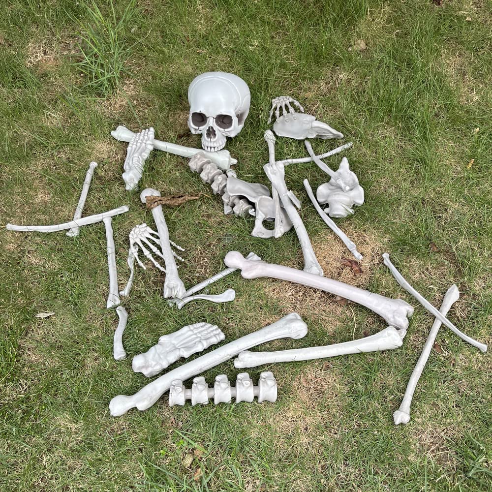 Wocst bones shown next to a hand for scale, illustrating compact usable sizes