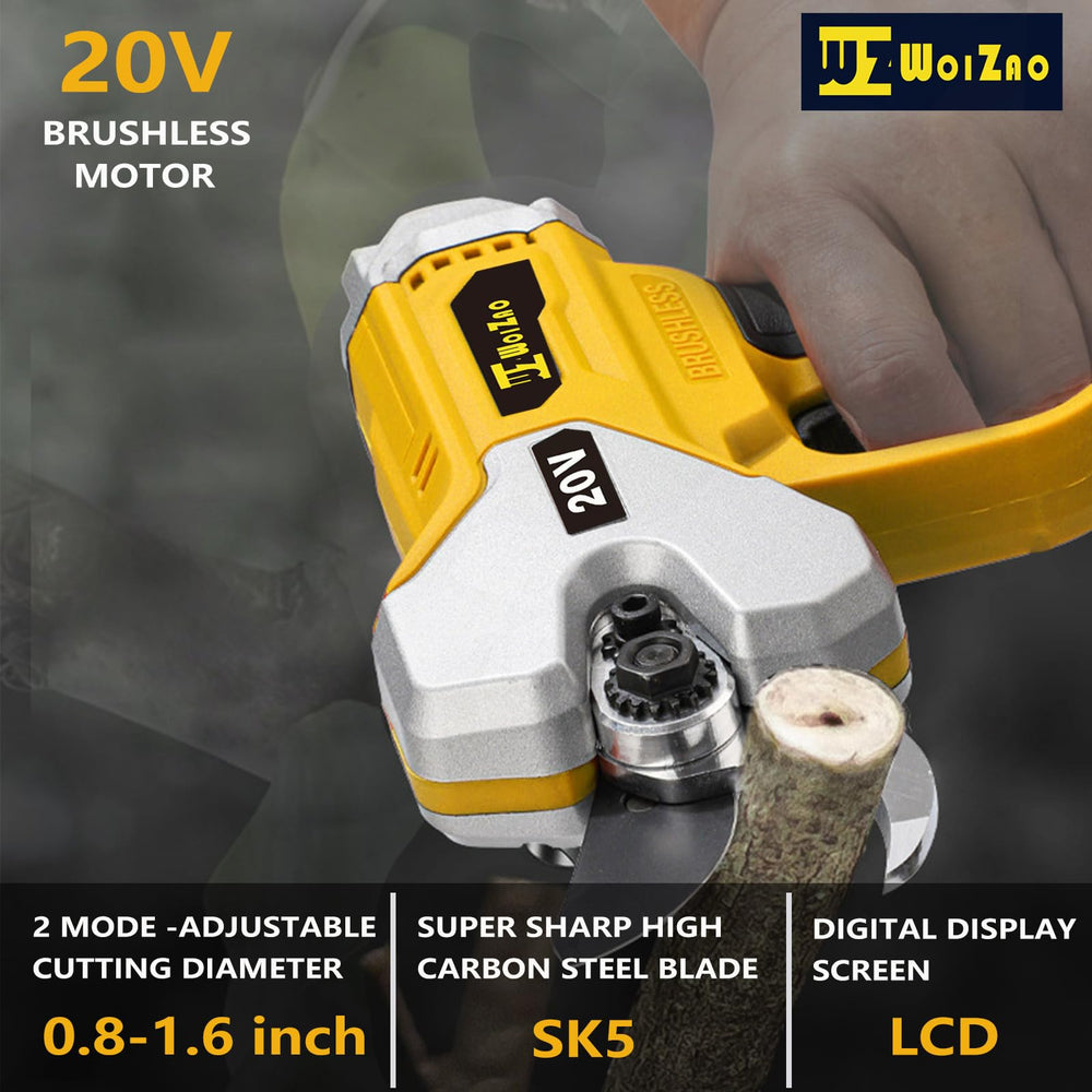 WOIZAO LCD and controls detail showing battery readout and safety features