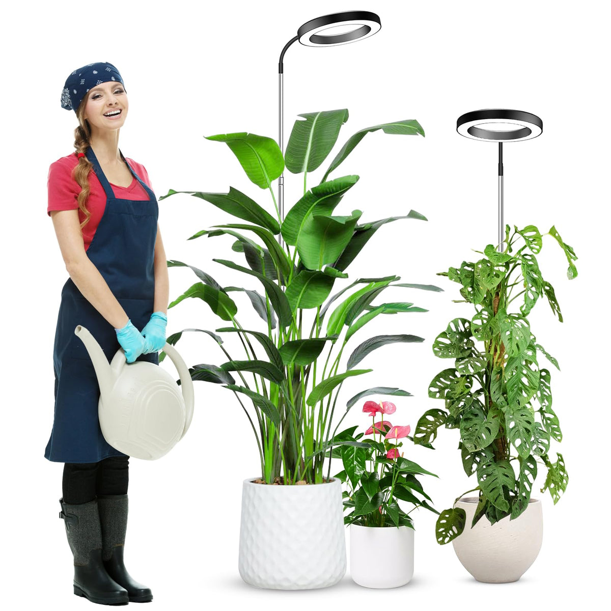 wolezek front view full height showing stable lamp and wide plant coverage benefit