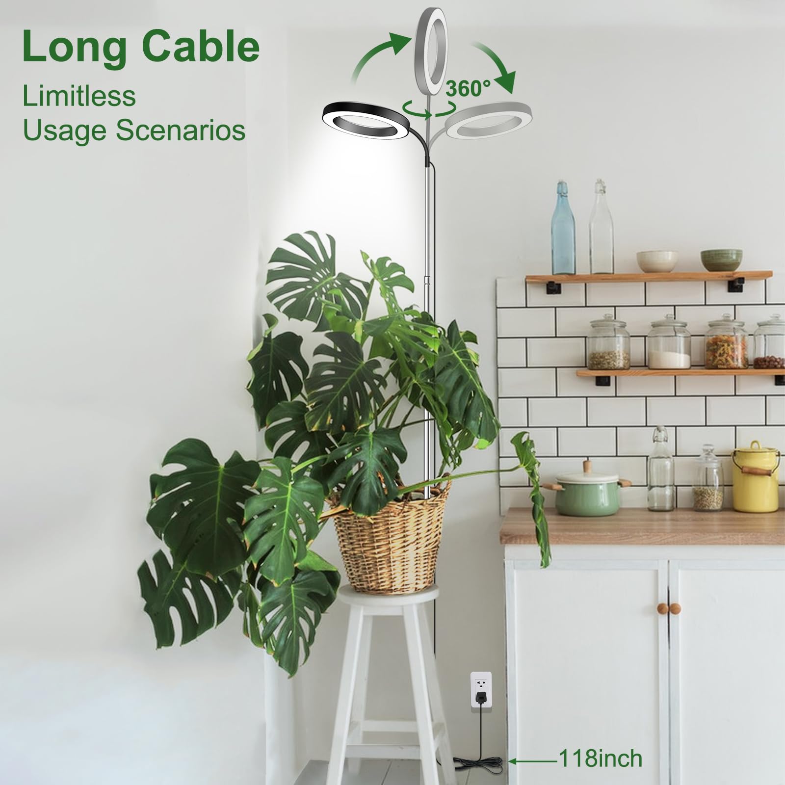 wolezek sturdy base close detail ensuring stability for tall plant setups benefit