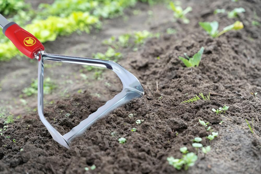 WOLF Garten weeder beside ruler showing 6-inch blade for size clarity benefit