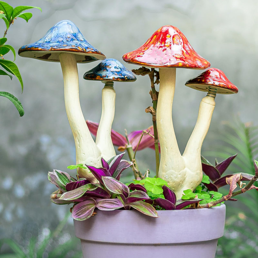 WONDER GARDEN clustered display of multiple mushrooms for whimsical grouping