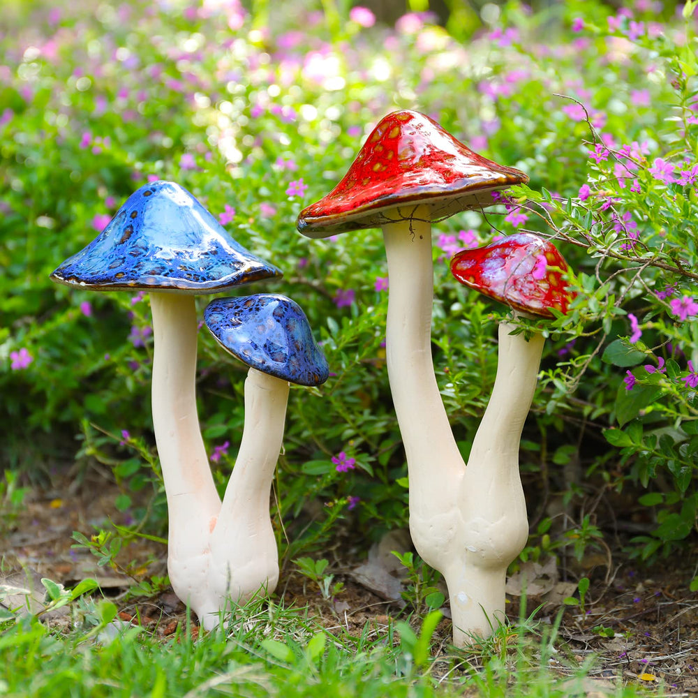 WONDER GARDEN front view showing colorful mushroom statue brightening garden