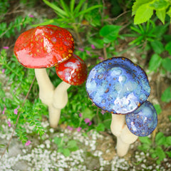 WONDER GARDEN mushroom nestled in planter adding instant character