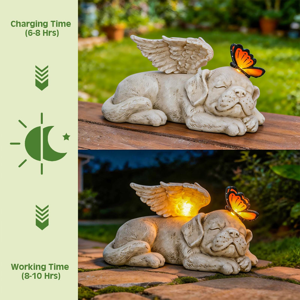 WONDER GARDEN butterfly on puppy head close-up adding gentle symbolism and charm