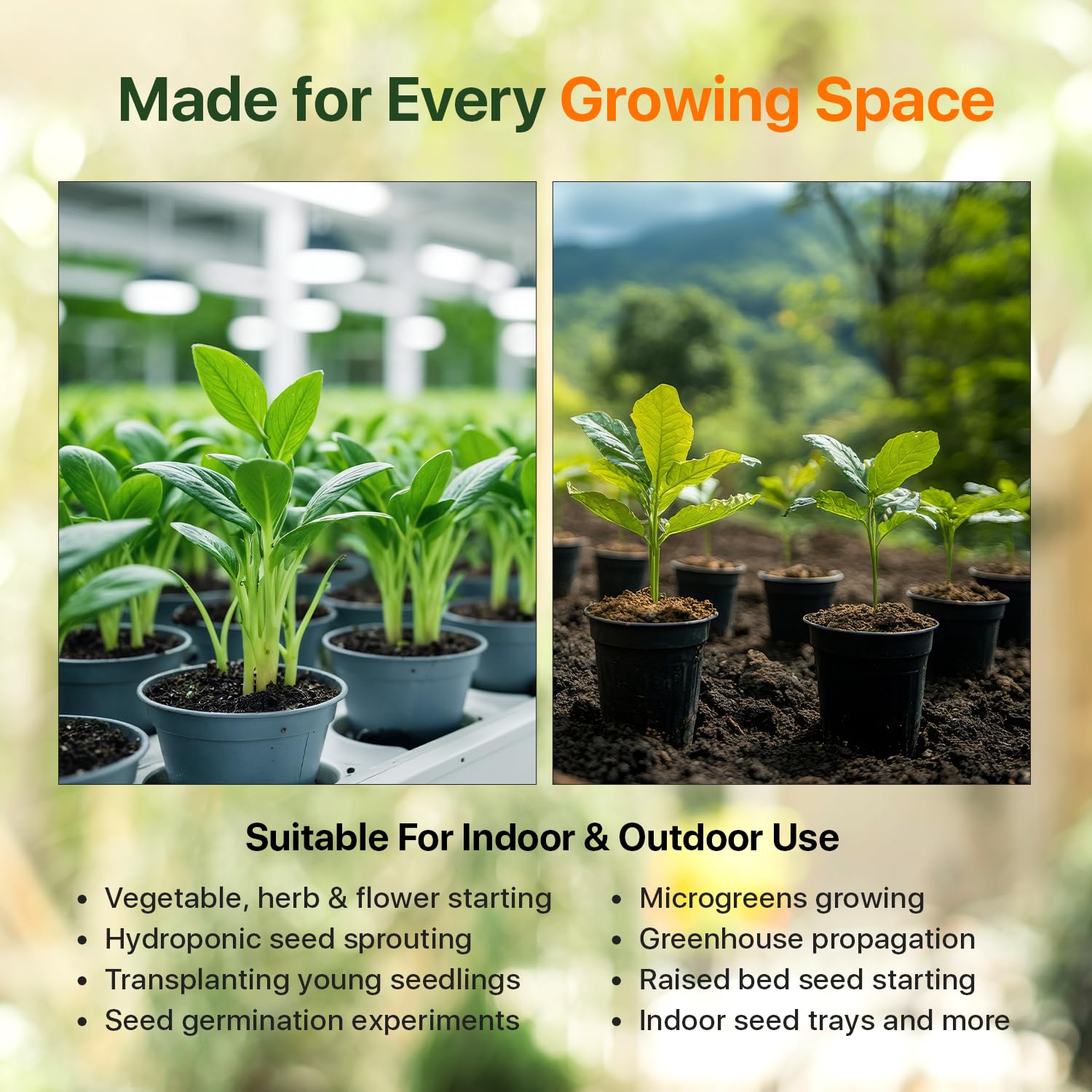 Wonder Soil pellets in an indoor garden setting promoting easy home growing