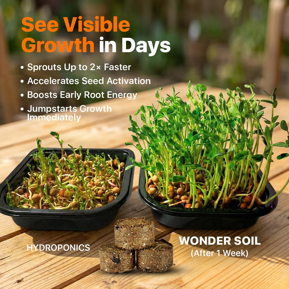 Wonder Soil seedling roots in pellet illustrating strong early root development