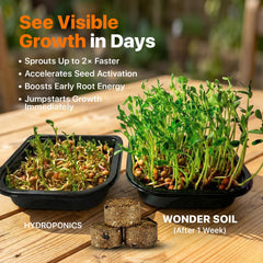 Wonder Soil seedling roots in pellet illustrating strong early root development