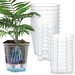 Wonderjune clear set front view showing all nine pots and tidy packaging benefit