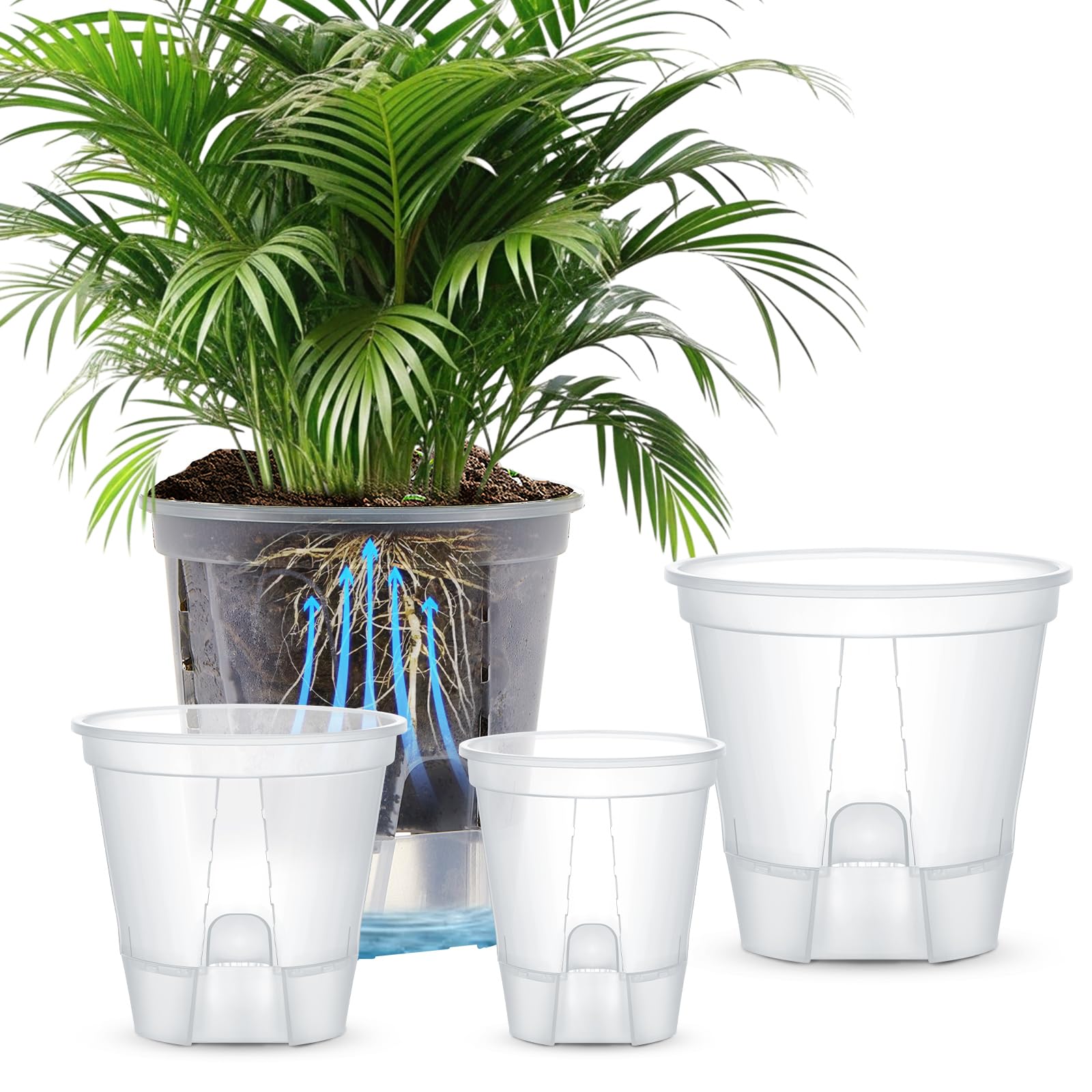 Wonderjune clear planter set front view showing tidy arrangement and easy water monitoring