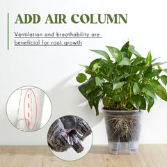 Wonderjune transparent pot showing visible roots and healthy development benefit