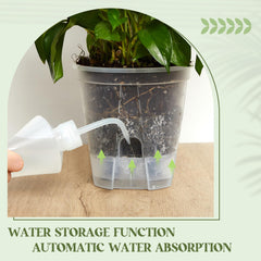 Wonderjune side view showing roots visible through pot for easy monitoring