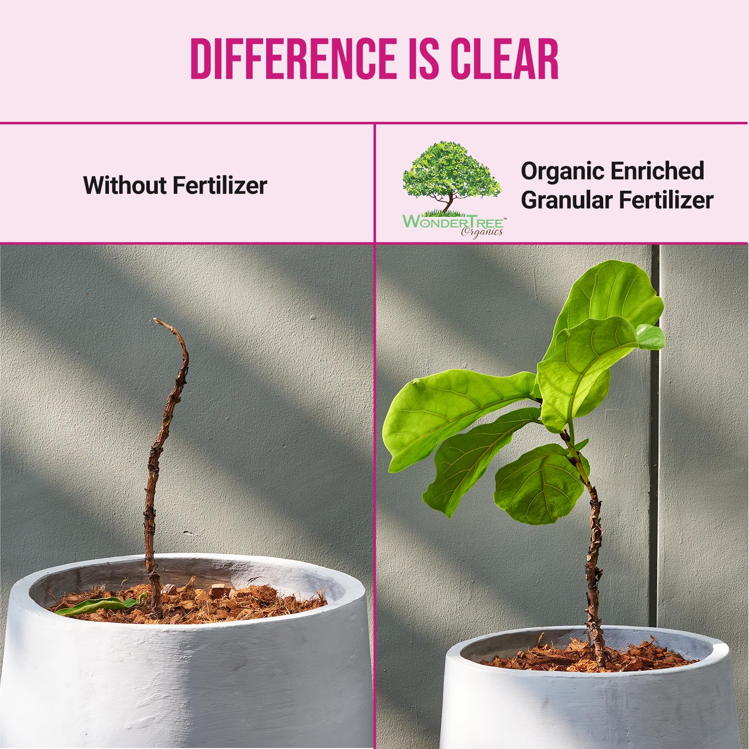 WonderTree Organics made in USA label highlighting local manufacturing