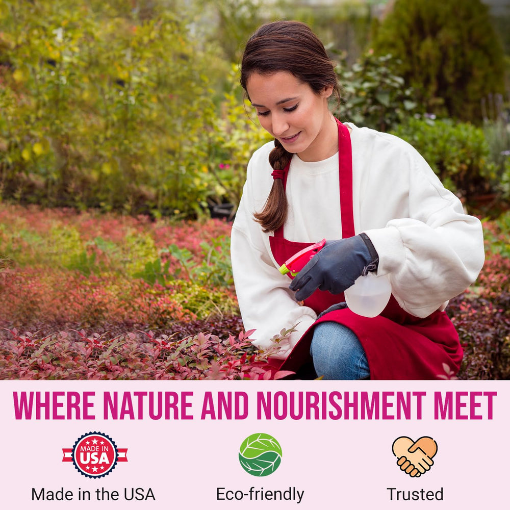 WonderTree Organics used on roses producing larger, vibrant blooms